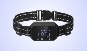 Furthrive GPS Review